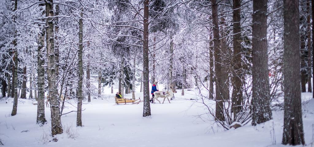 Отель Lapland Igloo Рануа Экстерьер фото